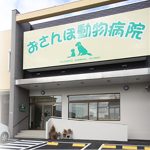 おさんぽ動物病院